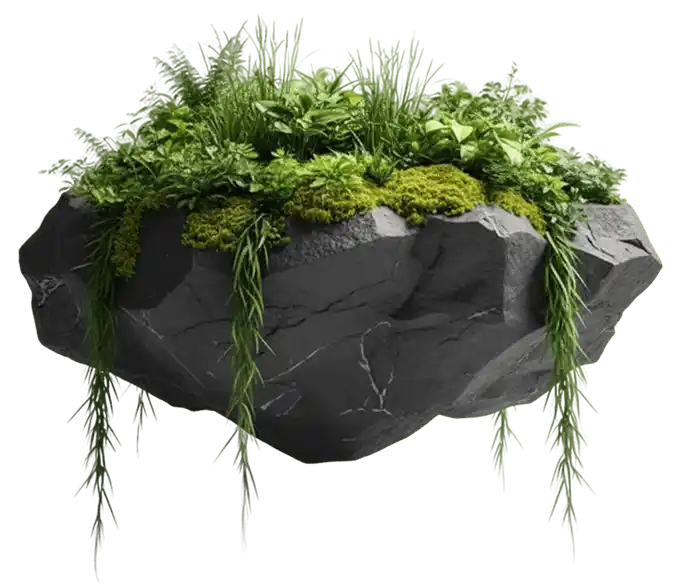 Главная